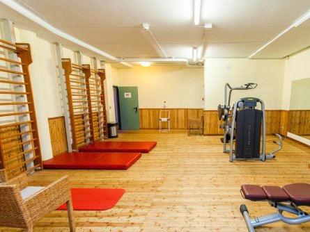 hotel alexander limone sul garda gardameer (17)