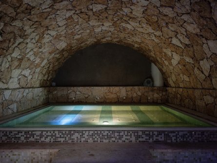 hotel alexander limone sul garda gardameer (12)