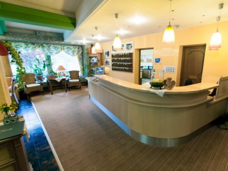 hotel kolmhof bad kleinkirchheim karinthië (27)