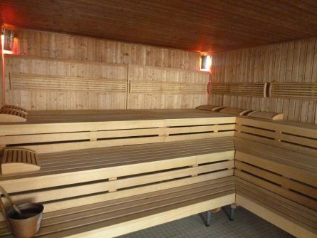 hotel valaisia crans montana wallis (10)