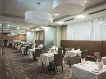 hotel schillerpark linz oberösterreich (18)