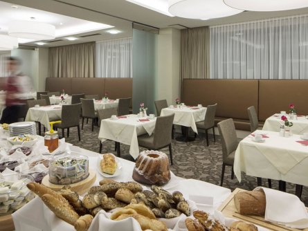 hotel schillerpark linz oberösterreich (11)