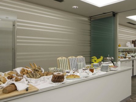 hotel schillerpark linz oberösterreich (10)