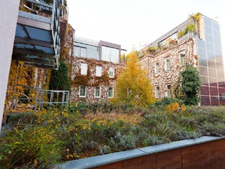 boutique hotel stadthalle wenen (22)