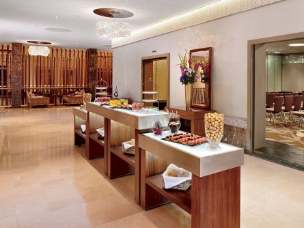 hotel the ritz carlton wenen vakantie oostenrijk oostenrijkse alpen (6)