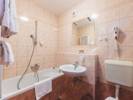 hotel ribno bled gorenjska vakantie slovenie julische alpen (3)