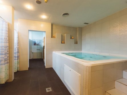 hotel ribno bled gorenjska vakantie slovenie julische alpen (27)