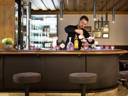 elisabeth hotel mayrhofen tirol (29)