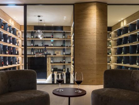 elisabeth hotel mayrhofen tirol (23)