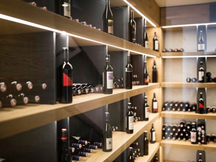 elisabeth hotel mayrhofen tirol (35)