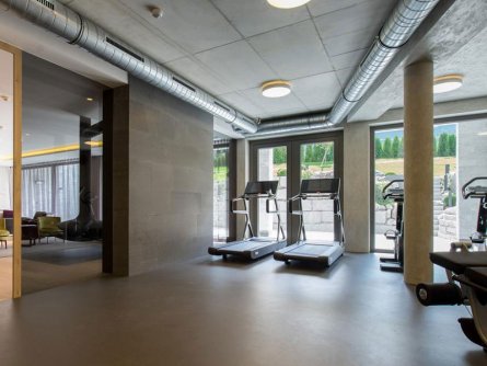 elisabeth hotel mayrhofen tirol (20)