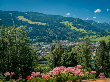 hotel aparthotel ferienalm steiermark alpen vakantie oostenrijk oostenrijkse alpen  (11)