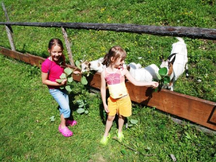 hotel aparthotel ferienalm steiermark alpen vakantie oostenrijk oostenrijkse alpen  (16)