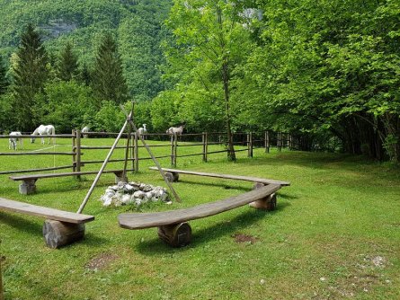 pristava lepena bovec slovenie picknick (3)