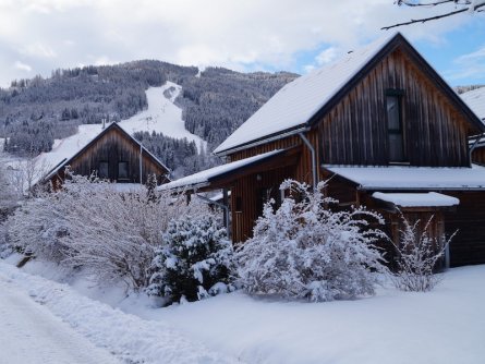 ferienpark kreischberg sankt georgen am kreischberg steiermark 10 (2)