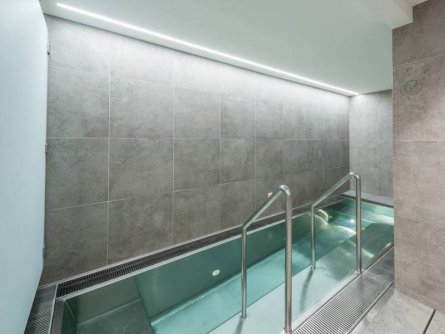 randolins familienresort sankt moritz graubünden (20)