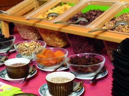 swiss family hotel alphubel saas fee wallis (15)