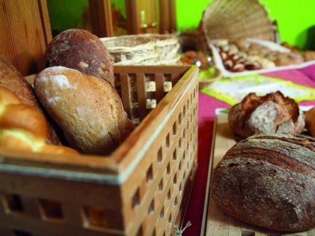 swiss family hotel alphubel saas fee wallis (11)