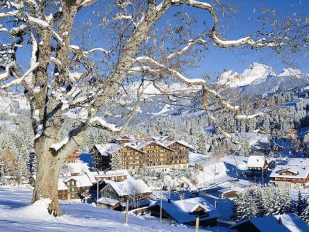 golfhotel les hauts de gstaad spa saanenmöser bern (47)