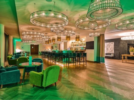 hotel maxx by steigenberger wenen (13)