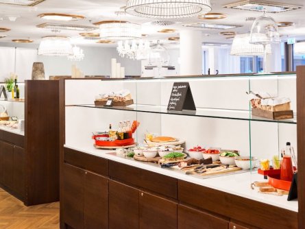 hotel maxx by steigenberger wenen (16)