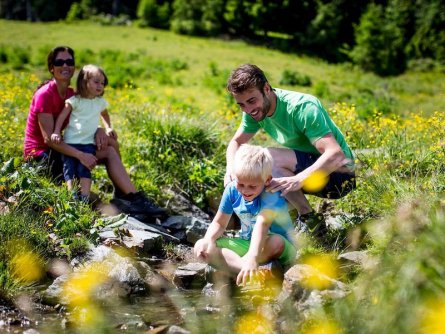 ferienpark kreischberg sankt georgen am kreischberg steiermark (13)