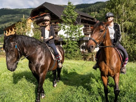 hotel trattlerhof bad kleinkirchheim karinthie (8)