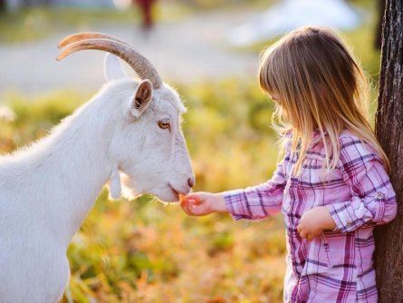 jufa hotel gitschtal weißbriach karinthië (10)