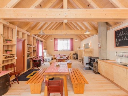 jufa hotel gitschtal weißbriach karinthië (8)