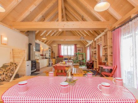 jufa hotel gitschtal weißbriach karinthië (15)