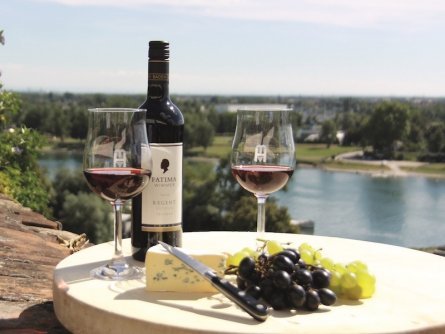 hotel stadt breisach breisach am rhein baden württemberg (8)