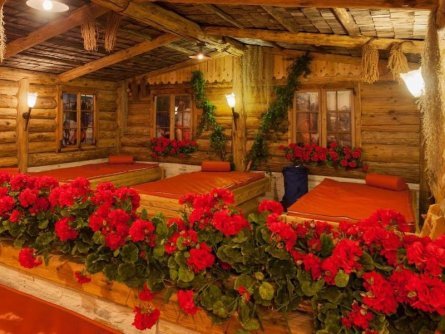 alpinhotel berghaus tux tirol (18)