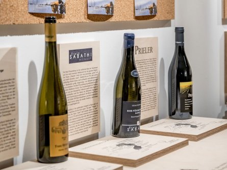 hotel austria en bellevue obergurgl tirol (12)