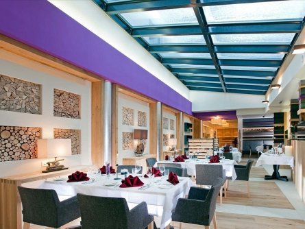 hotel fliana ischgl tirol (14)