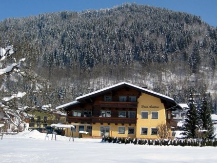 appartement haus austria flachau (2)